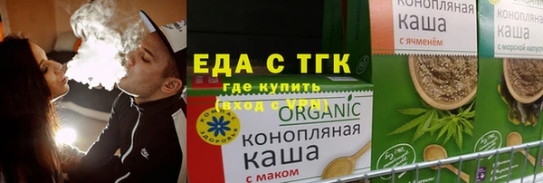 тгк Бородино