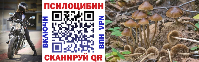 Псилоцибиновые грибы мицелий  купить наркотик  МЕГА   Приволжский 